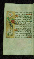 W.176, fol. 116v