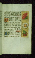W.176, fol. 121r