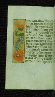 W.176, fol. 131v