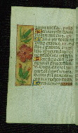 W.176, fol. 136v