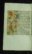 W.176, fol. 138v