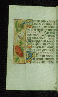 W.176, fol. 139v