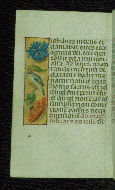 W.176, fol. 142v