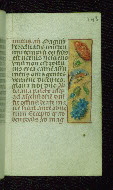 W.176, fol. 143r