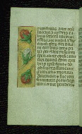 W.176, fol. 145v