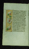 W.176, fol. 147v