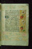 W.176, fol. 163r