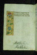 W.176, fol. 164v