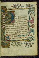W.215, fol. 14r