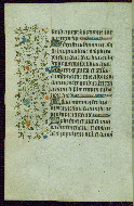 W.267, fol. 23v