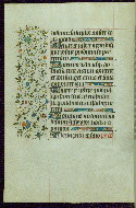 W.267, fol. 25v