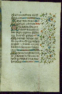 W.267, fol. 50r