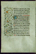 W.267, fol. 71v