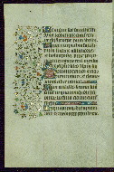 W.267, fol. 141v