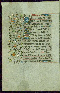 W.267, fol. 173v