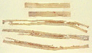 W.372, Original guards
