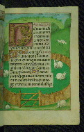 W.428, fol. 88r