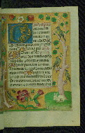 W.428, fol. 106r