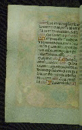 W.428, fol. 122v