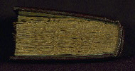 W.428, Head