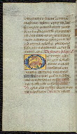 W.447, fol. 141v