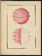 W.510, fol. 77r