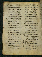 W.537, fol. 204v