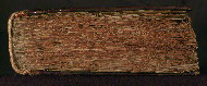W.537, Tail