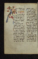 W.546, fol. 151v
