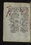 W.546, fol. 263v