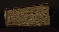 W.546, Tail