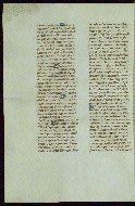 W.307, fol. 251v