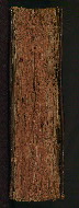 W.537, Fore-edge